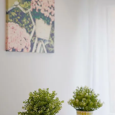 Centro-playa Ii Vut Apartament *